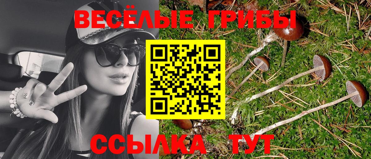 Галлюциногенные грибы мухоморы  Вход с VPN  Майкоп  Псилоцибиновые грибы Psilocybine cubensis 